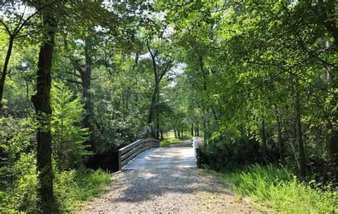 Moores creek - Moores Creek National Battlefield, located in Pender County, will host its 248th anniversary later in February. The Battle of Moores Creek Bridge was the first decisive Patriot victory of the ...